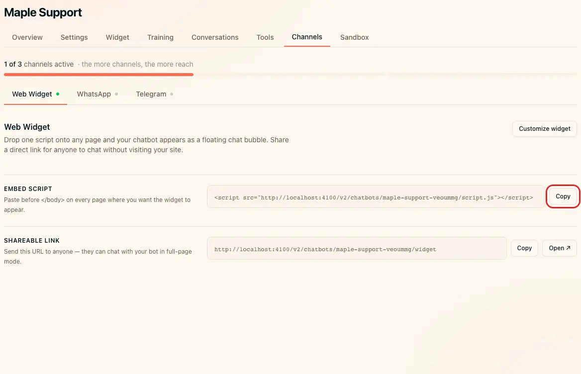 Copy the widget embed script