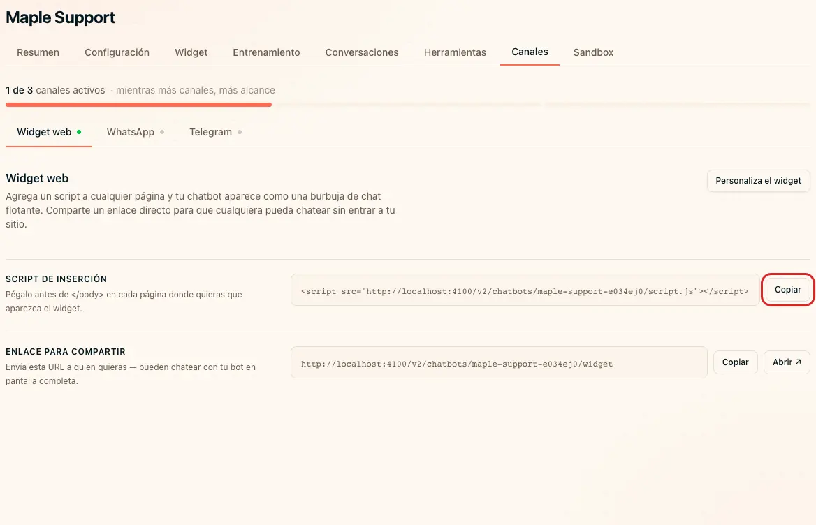 Copia el script de inserción del widget